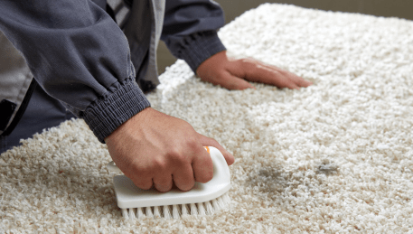 Professional Rug Cleaning Lynbrook
